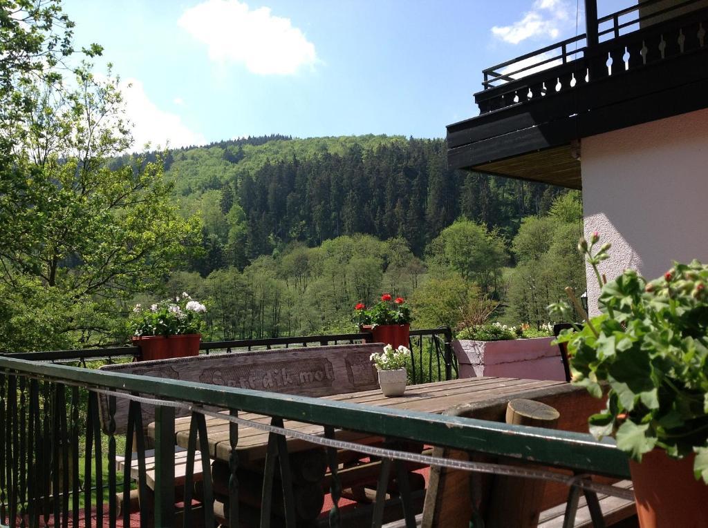 Hotel-Pension Zum Paradies 빌링겐 외부 사진